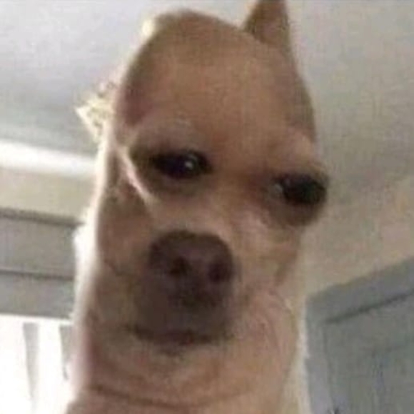 Meet your Posher, Jeffrey - Picture 1 of 1